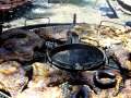 Día de campo 2009 - La parrilla