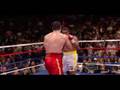 Boxing KO Vladmir Klitschko