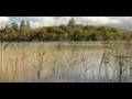 Farewell Mayo - Eamon Friel