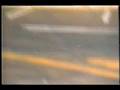 Zofia Petka -Baboons.wmv