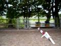 videos de klencke shetjes - sals en idie springen