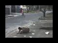 bebado dando balaozinho bebado dando balaozinho