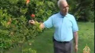 فلسطيني في إيطاليا منذ ثلاثين عاما