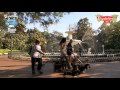 Savannah Wiener Dog Races October 1st 2011 | Official Hotel Sponsor Thunderbird Inn | Dog Days