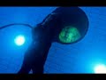 the first video from the majestic twelve's album 
