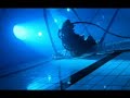 the first video from the majestic twelve's album 