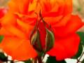 Ultra Deep Guided Deep Relaxation for you