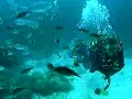 Comino