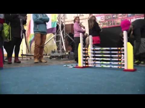Raw: Horse Jumping Inspires 'Bunny Hop'