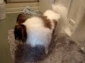 びしょ濡れだったから