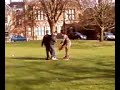 40 meters of rope and 2 idiots
