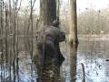 Bowhunting Ducks - Awesome Full Limits