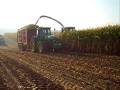 videos de Ensilage 08 Egide London