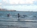 windsurf 30.11.09 melilla DMX AKON Mariano. Edu, Emilio.wmv