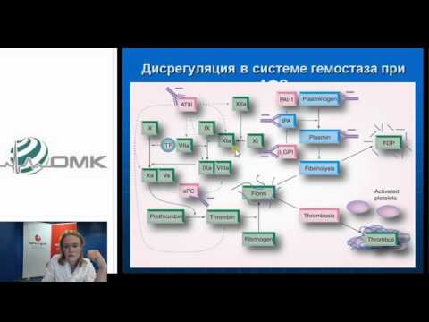 Тромбофилия и АФС. Тромбофилия и АФС.