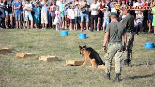 Гута FEST | майстер-клас кінологів