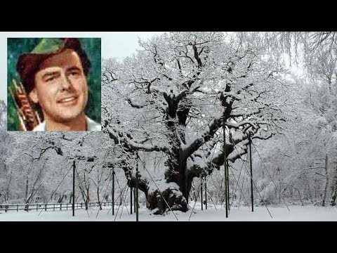 sherwood forest snow