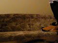 DSCF4548