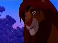 Simba Can\