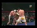 julio cesar chavez jr   hgo  texas   2 3