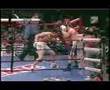 JULIO CESAR CHAVEZ JR. HGO. TEXAS 2-3