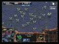 videos de SPL 08-09  Saint vs BeSt 2009-01-07  @ Medusa