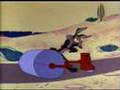 Wile Coyote Mosconi