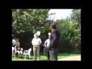 Ira Ruskin Endorses Wynn Hausser