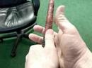 Top 25 Golf Pro Lesson Grip 2 and Wrist Hinge