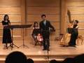 D. Kai Ma sings - Where Have the Fireflies gone?