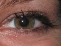 Smoky Brown