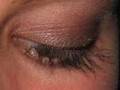 Smoky Brown