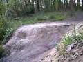 BIKING-IN-THE-WOODS