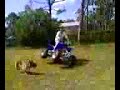 two wheelen 2