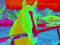 Affects on Reiner