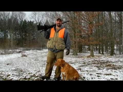 2011 Michigan Pointing labs Remi on a chucker hunt