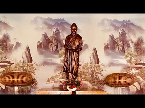 NIKAYA DỰ LƯU 1 - Thống Lãnh Địa Cầu Không Bằng 1/16 Quả Dự Lưu-Phá Thân Kiến? Kinh Sáu Sáu-Trung Bộ