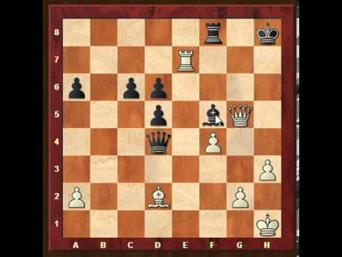 chess chess