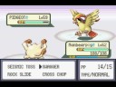 Mankey low level run - Elite four Champion