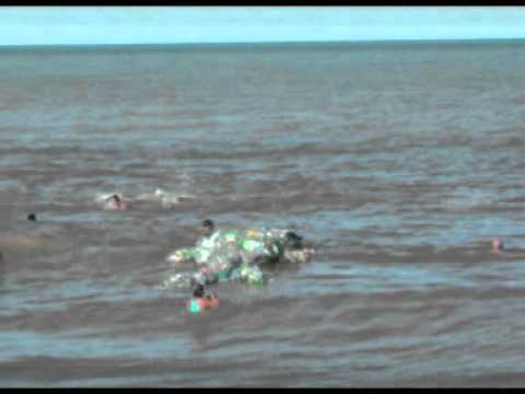 Una ballena hecha con botellas de plástico ingresó al mar argentino