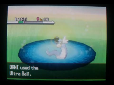 Dratini