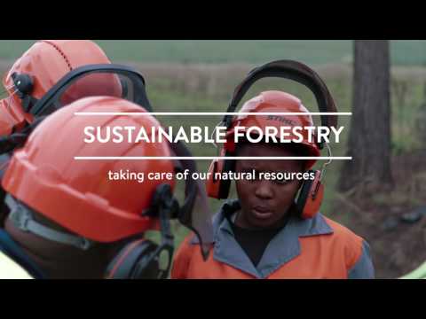 Forest Sector Education and Training for Green Employment