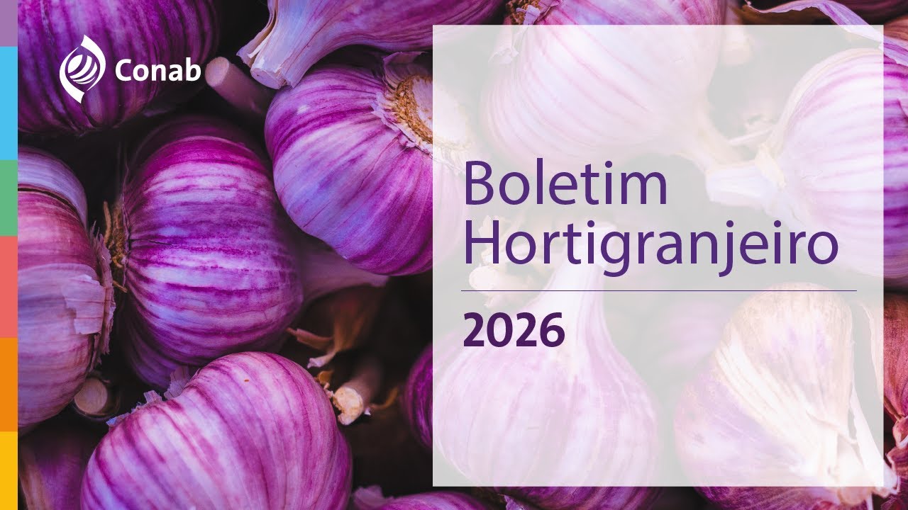 5º Boletim Prohort 2026