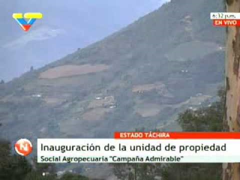 Imagen de previsualización de YouTube