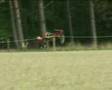 Motocross Crash
