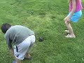 The Frog
