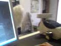 informers at work
