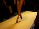 Marc Bouwer show