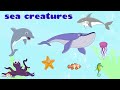 Learn About Sea Creatures - Interactive Learning Videos