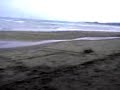 beach @ d new year